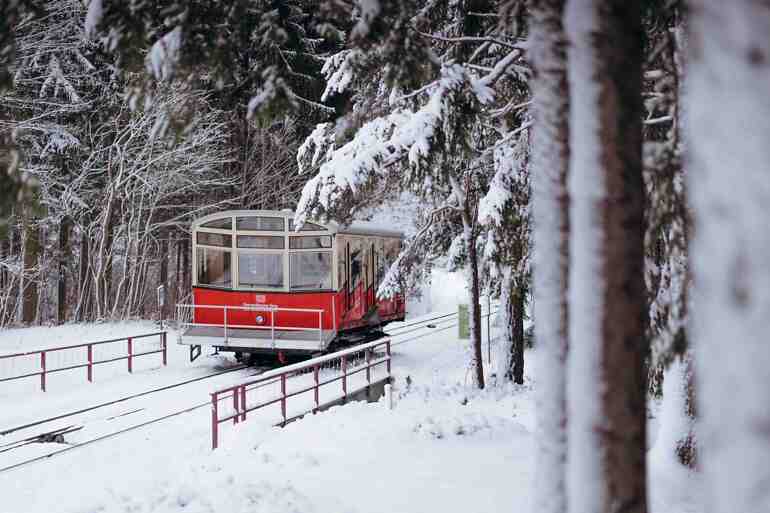 Winterbegegnung